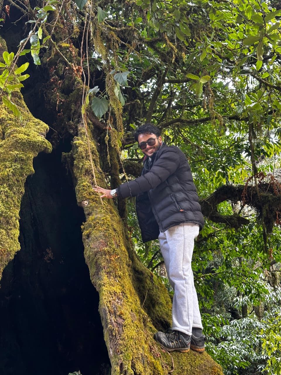 Tree Climbing