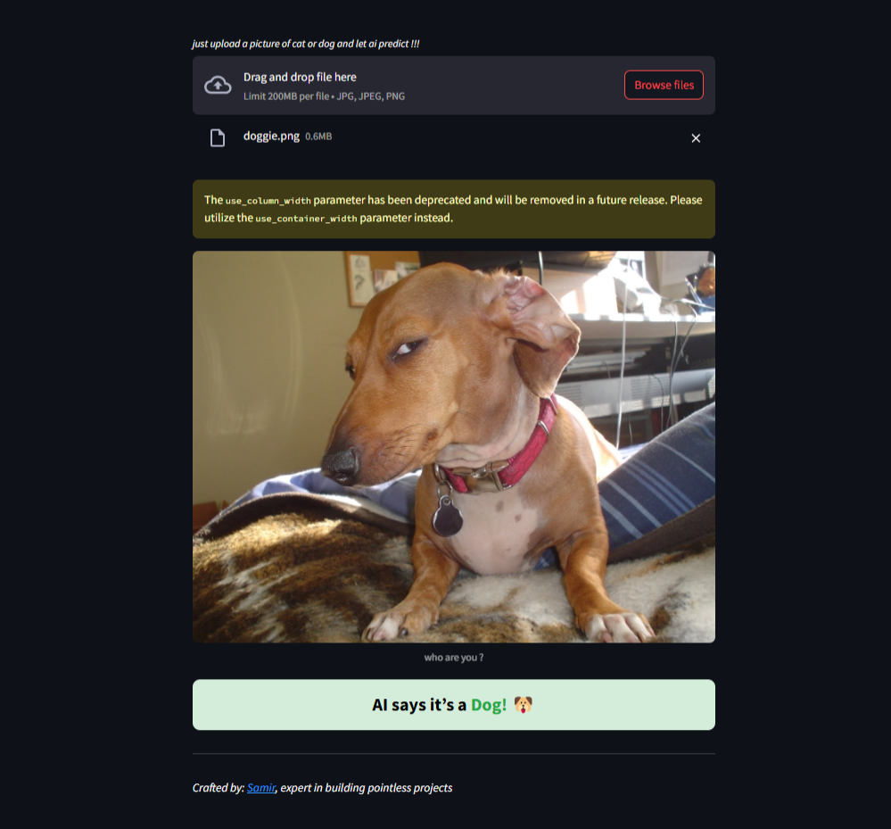 Cat vs Dog Classifier